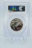 1991-95-P PCGS PR69DCAM World War II Clad Commemorative Proof 50C